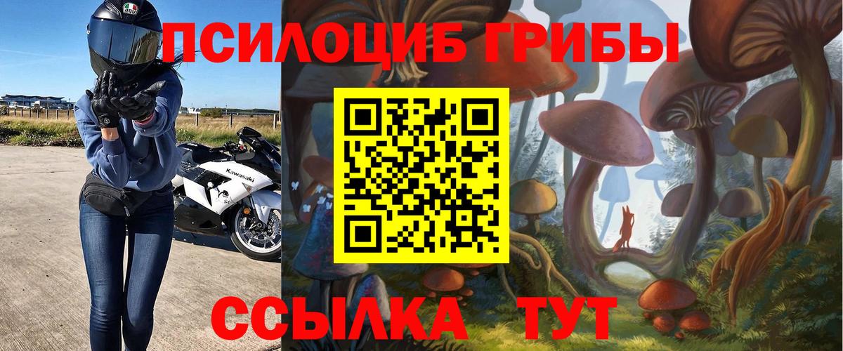 Галлюциногенные грибы Cubensis Фролово